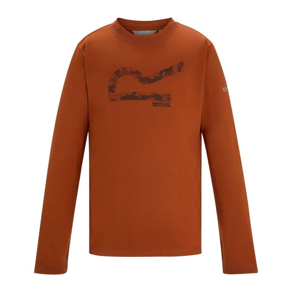 Regatta Childrens/Kids Alvarado Big Logo T-Shirt / Rooibos Tea